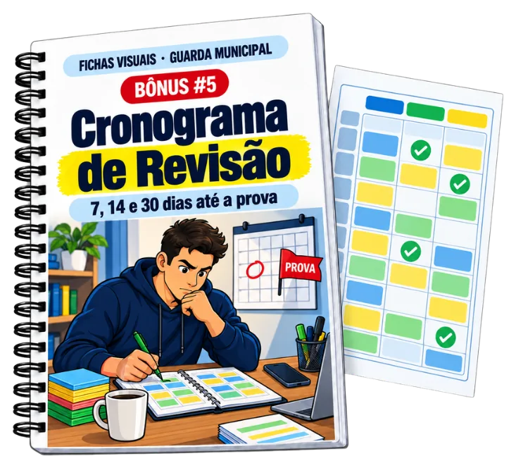 Cronograma de Revisão em 7, 14 e 30 dias
